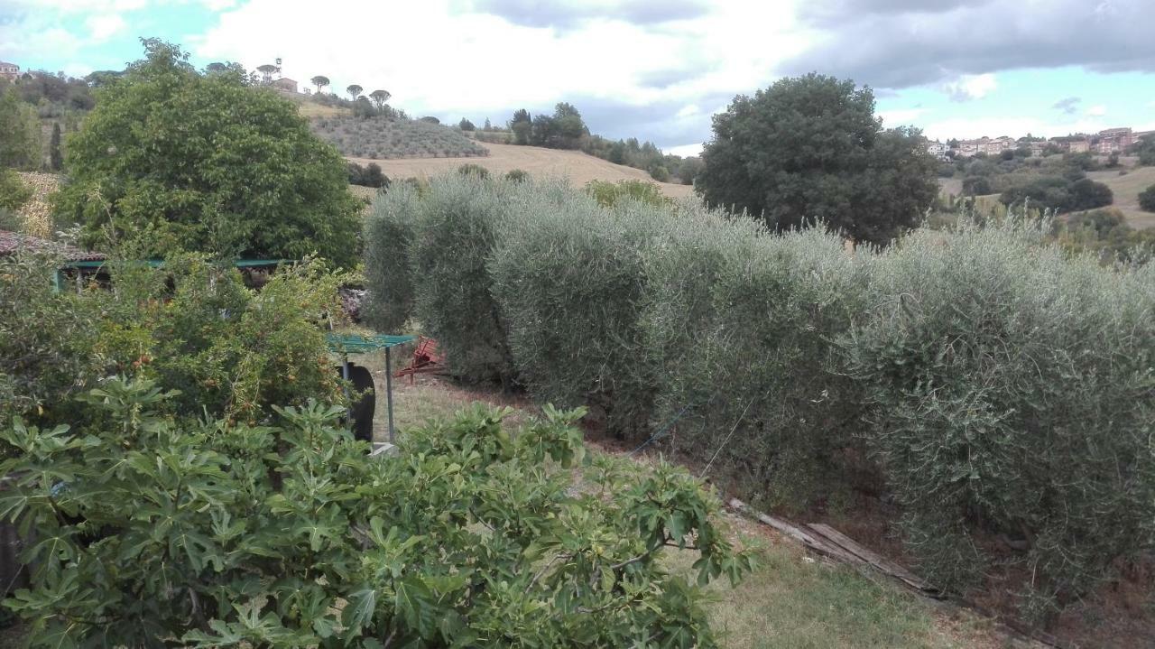 Villa Agriturismo Cerquaglia Todi Exterior foto
